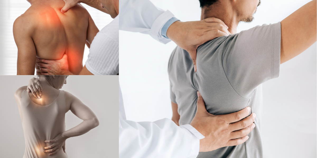 Top 5 Exercises to Relieve Lower Back Pain at Home (Recommended by PTs)